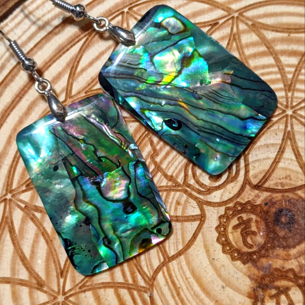 Abalone Rectangle Earrings - image 1